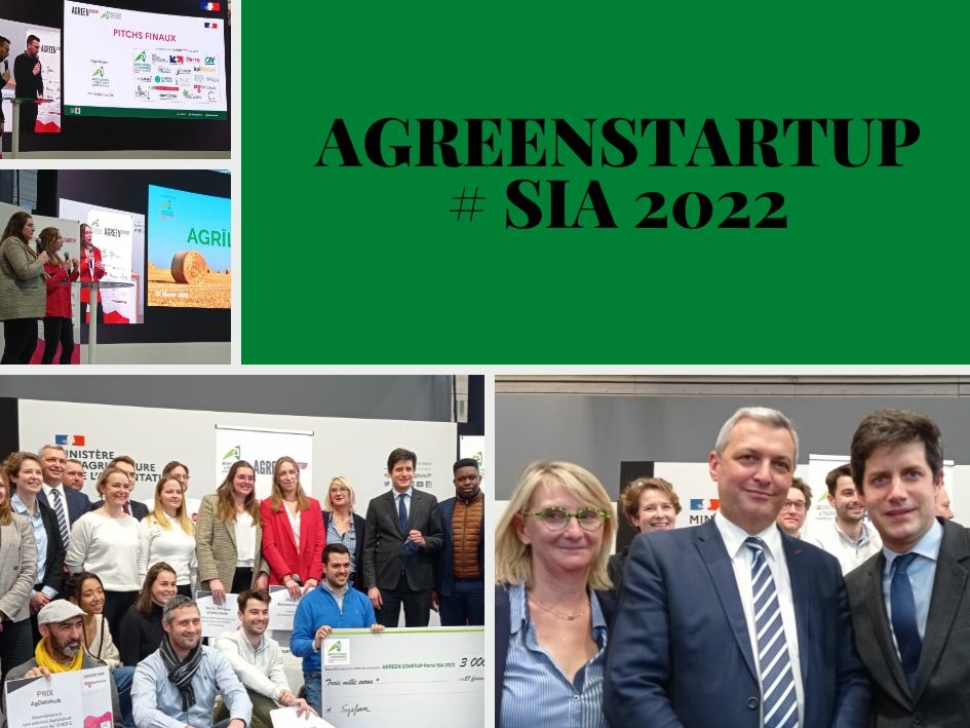 Beige et Noir Gras et Vif Photo Montage